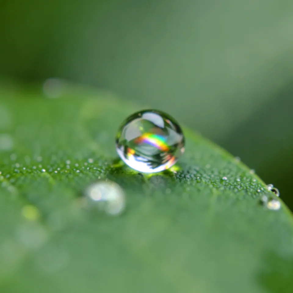 macro photo of a single dewdrop on a green leaf reflecting a tiny rainbow, shallow depth of field